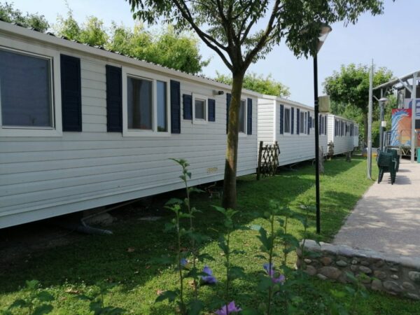 SHELBOX VIOLET  2009 3 CHAMBRES 8X4 – Image 13