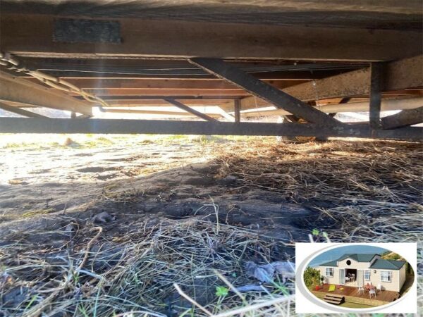 BK BLUEBIRD B25 3 CHAMBRES – Image 15